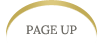 PAGE UP